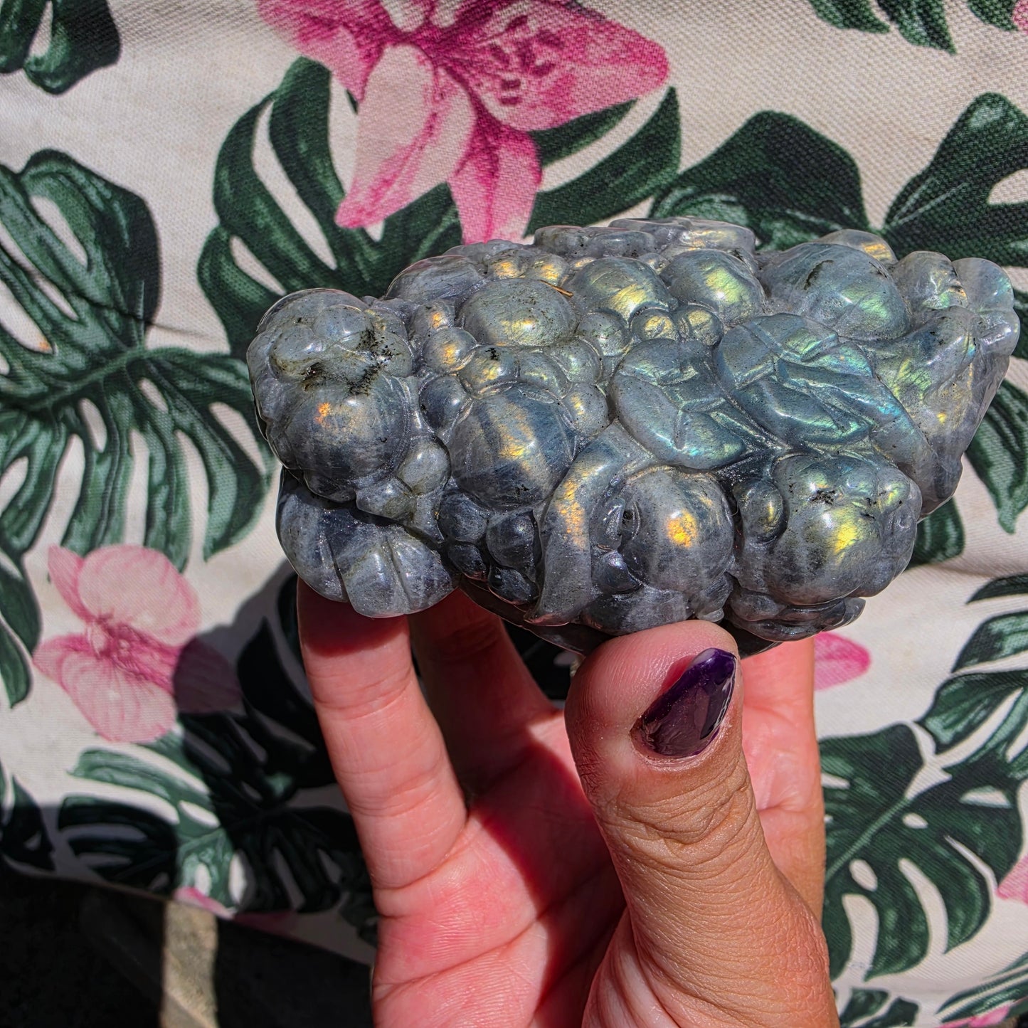 Labradorite money toad 6