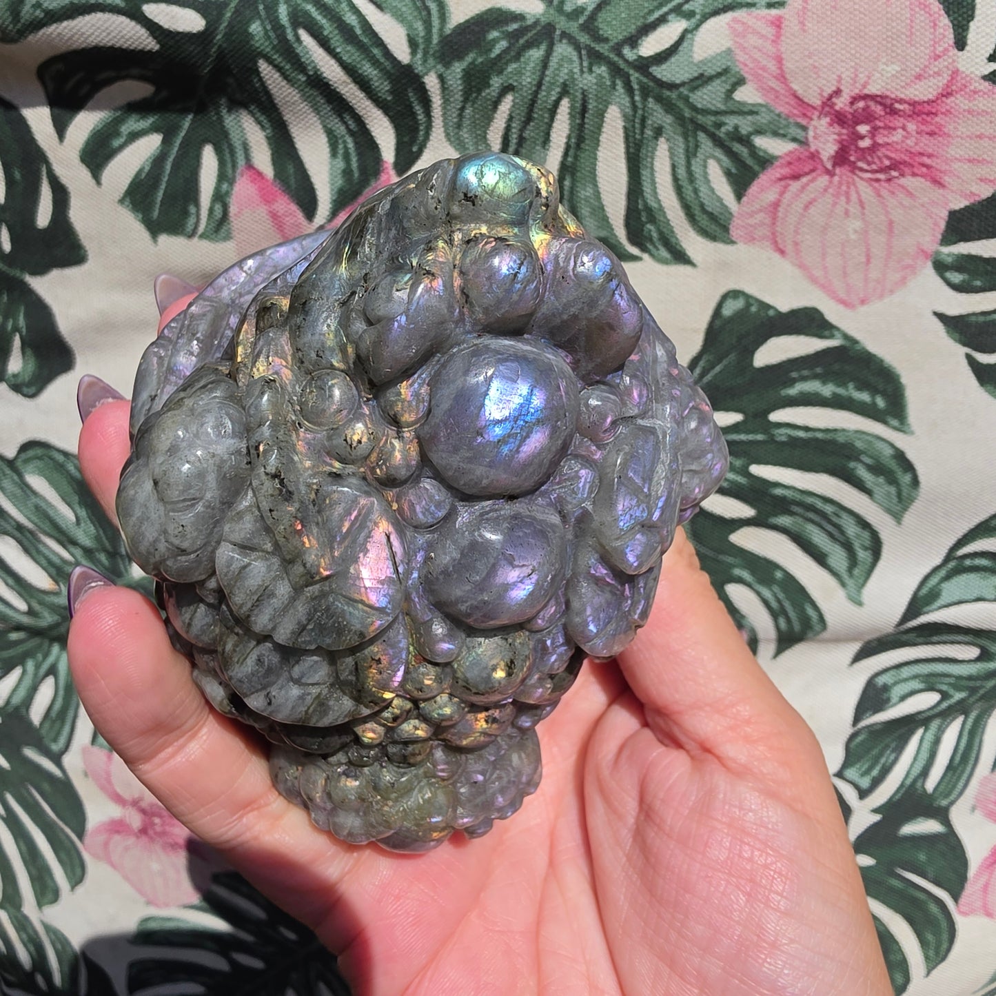 Labradorite money toad 7