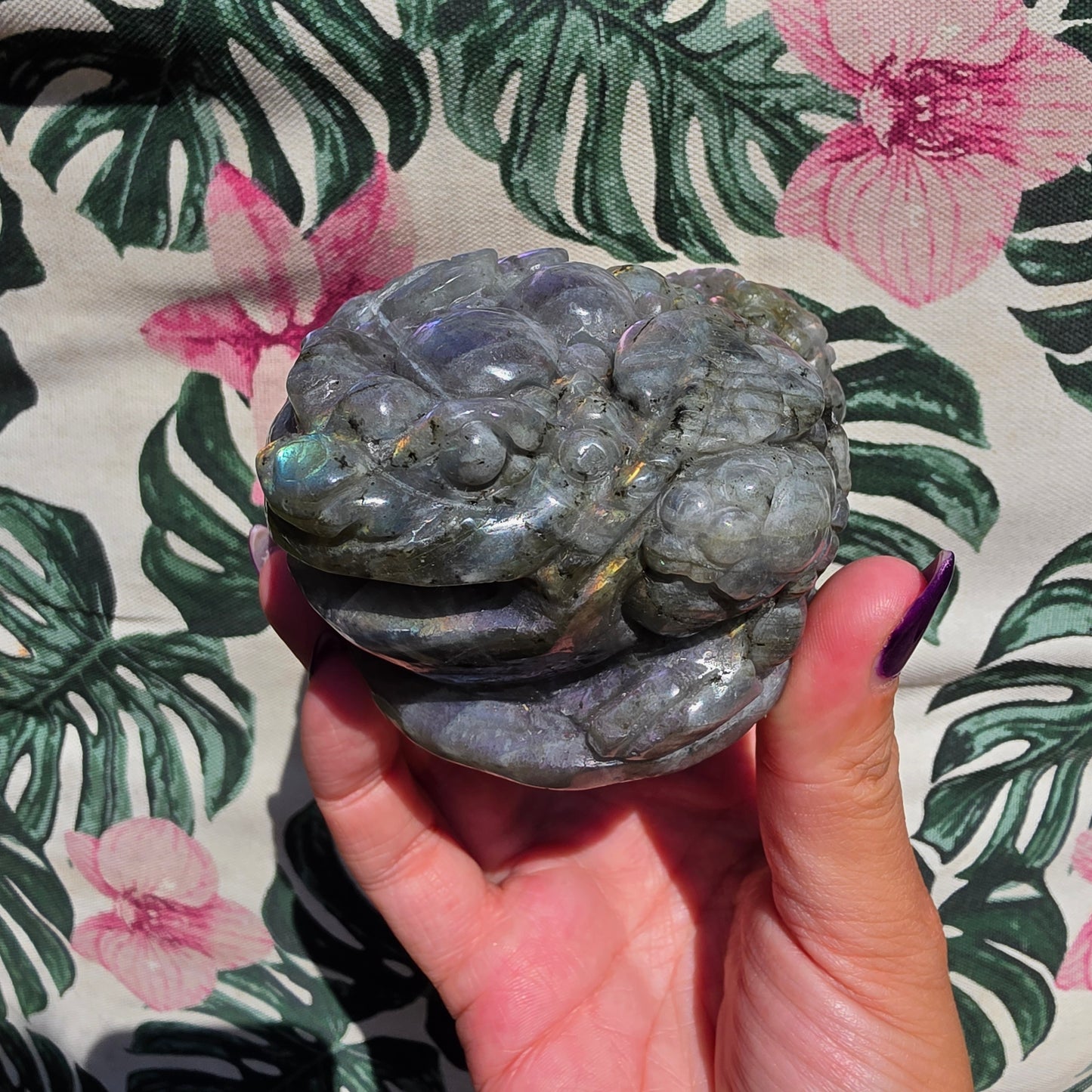 Labradorite money toad 7