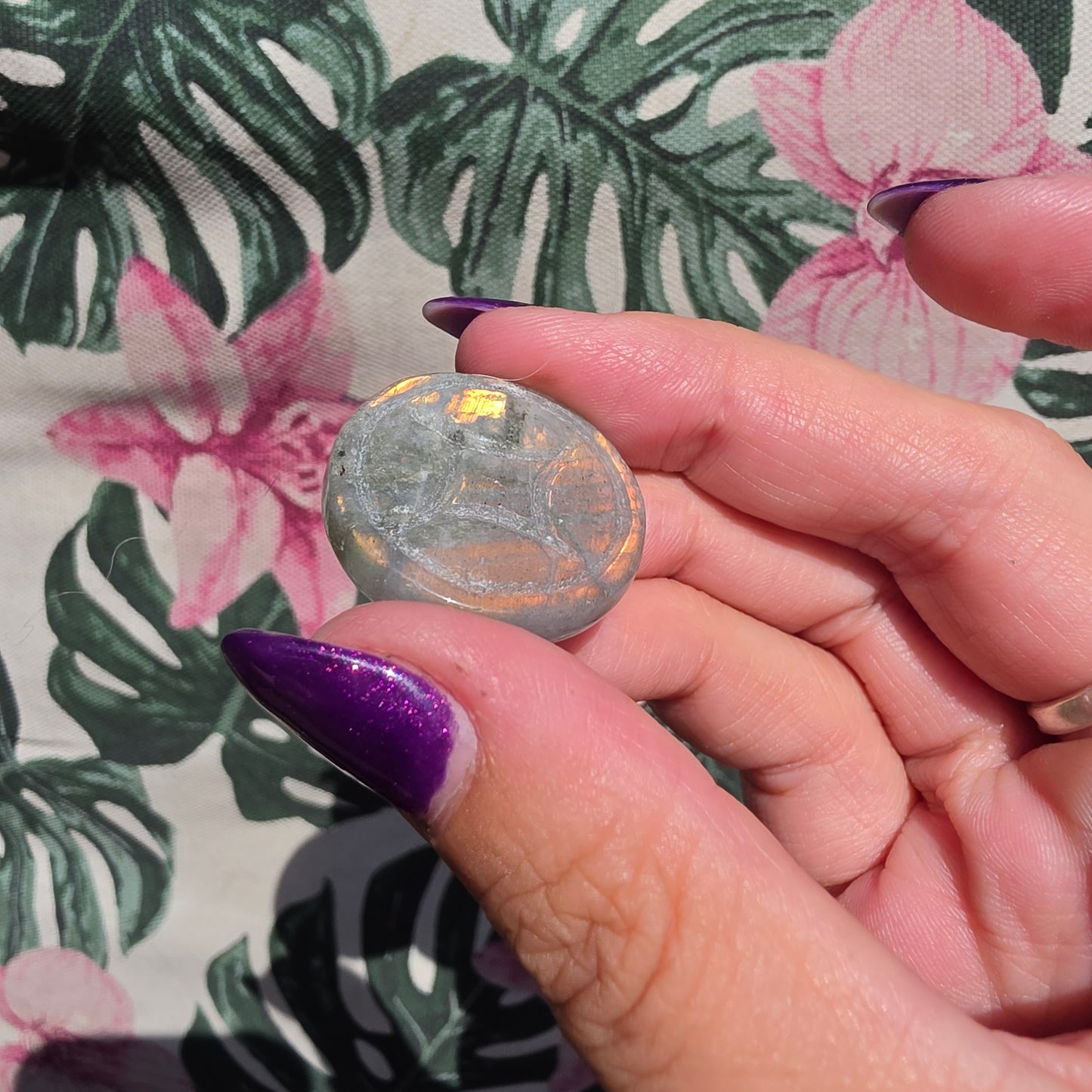 Labradorite money toad 7