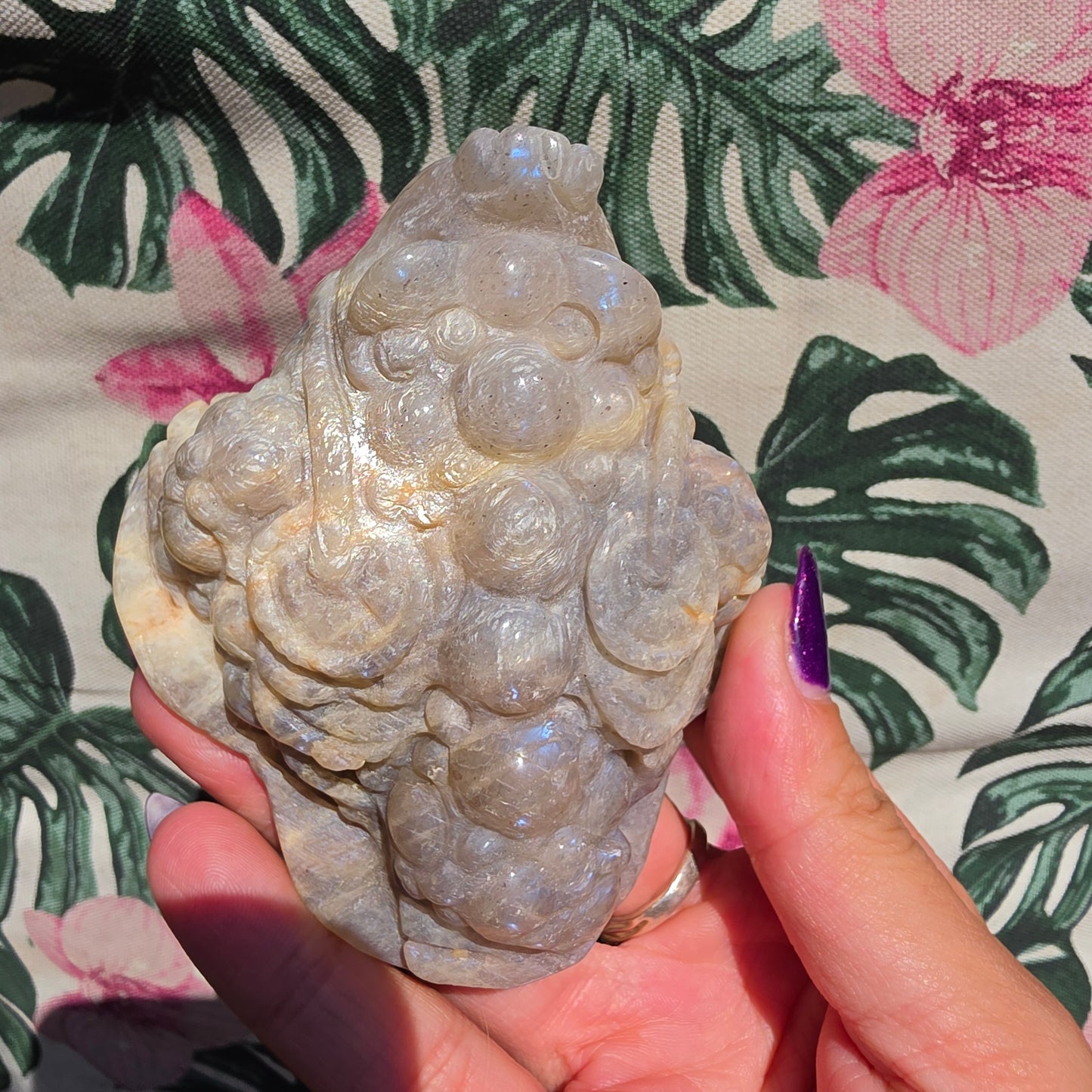 Moonstone money toad 8