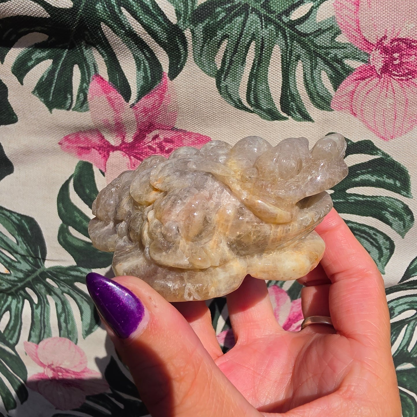 Moonstone money toad 8