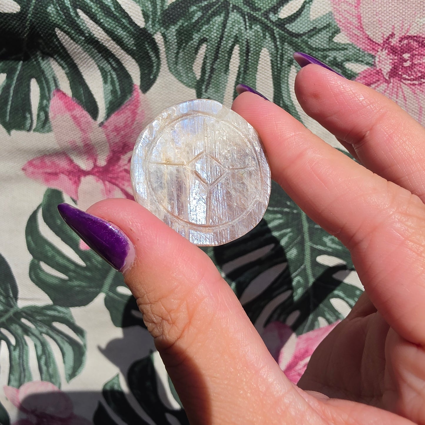 Moonstone money toad 8