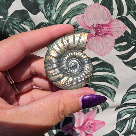 labradorite shell amulet