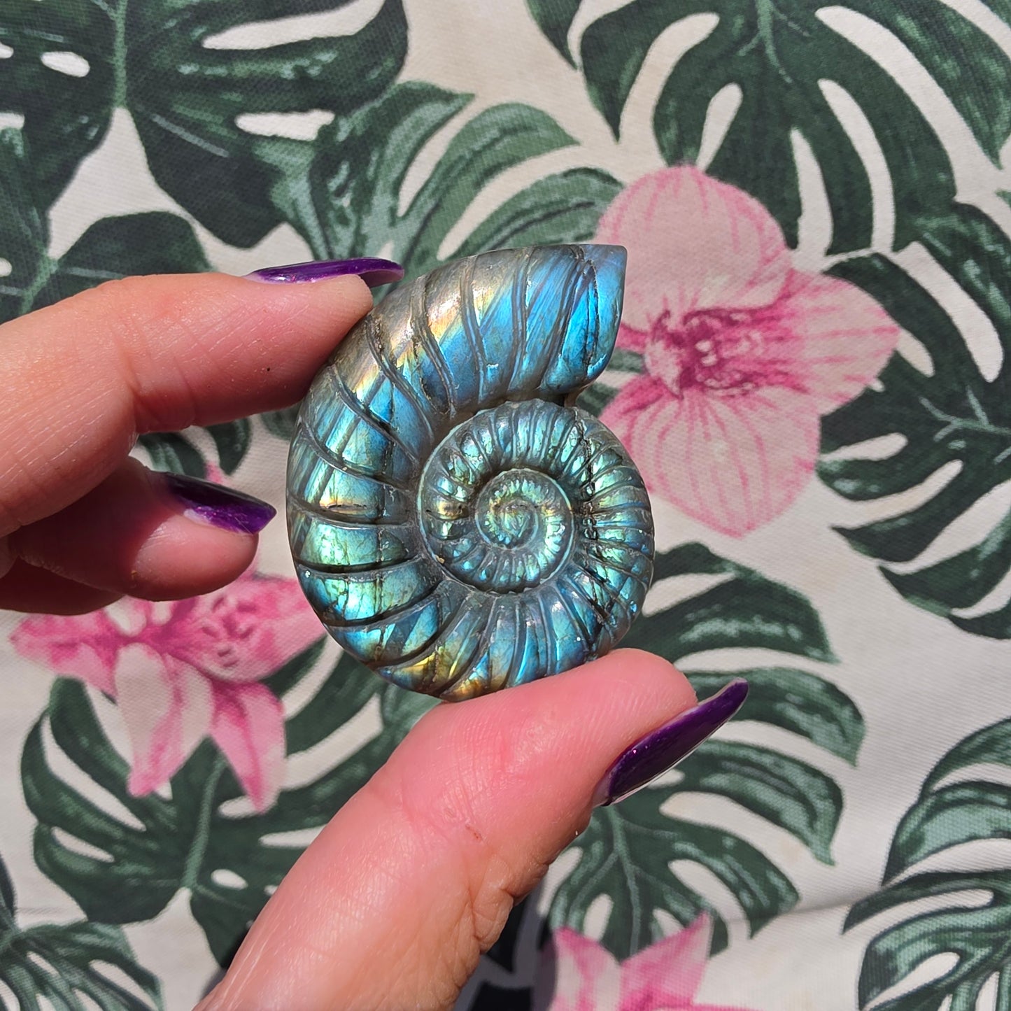 labradorite shell amulet