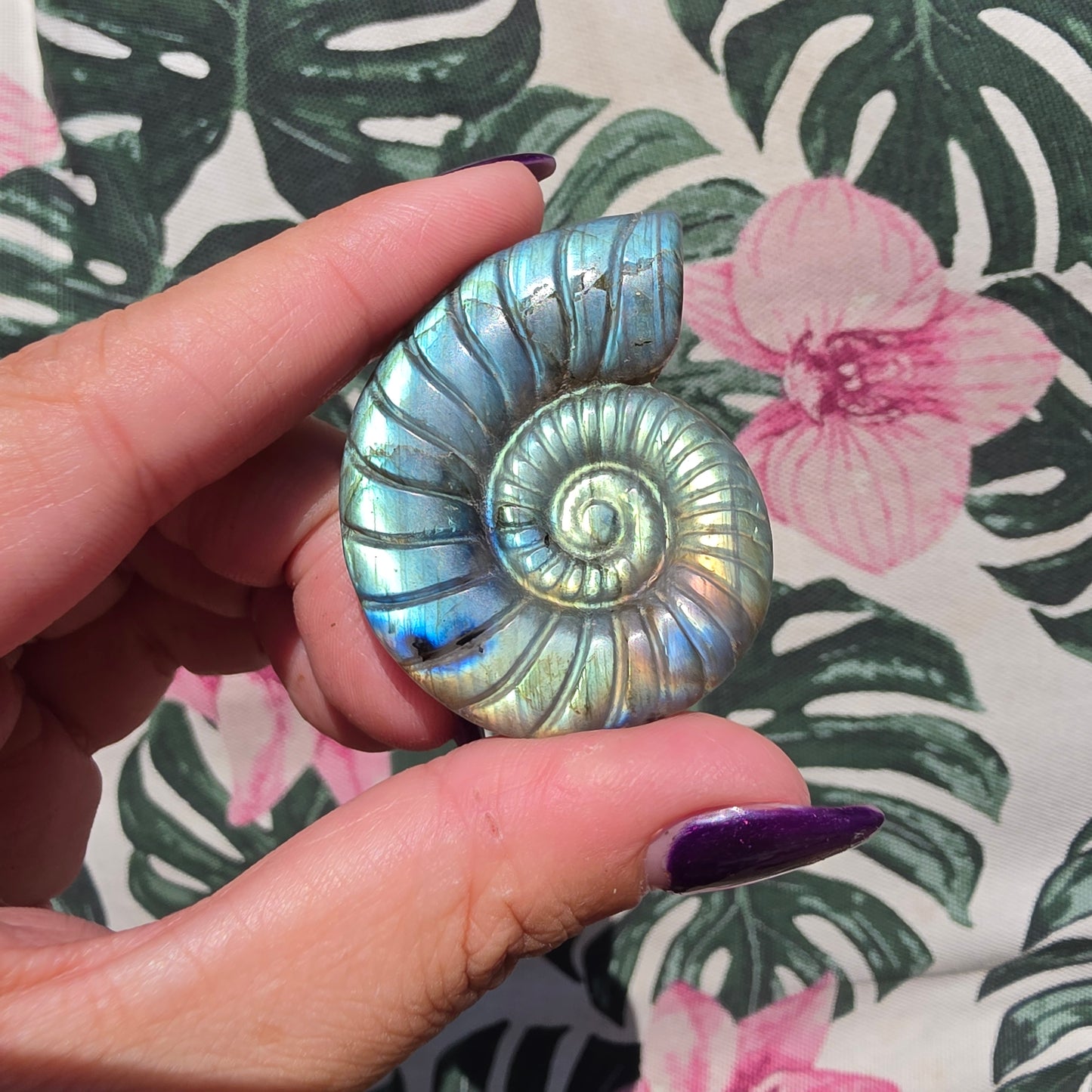 labradorite shell amulet