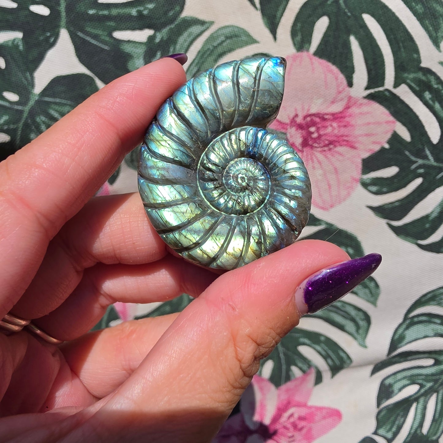 labradorite shell amulet