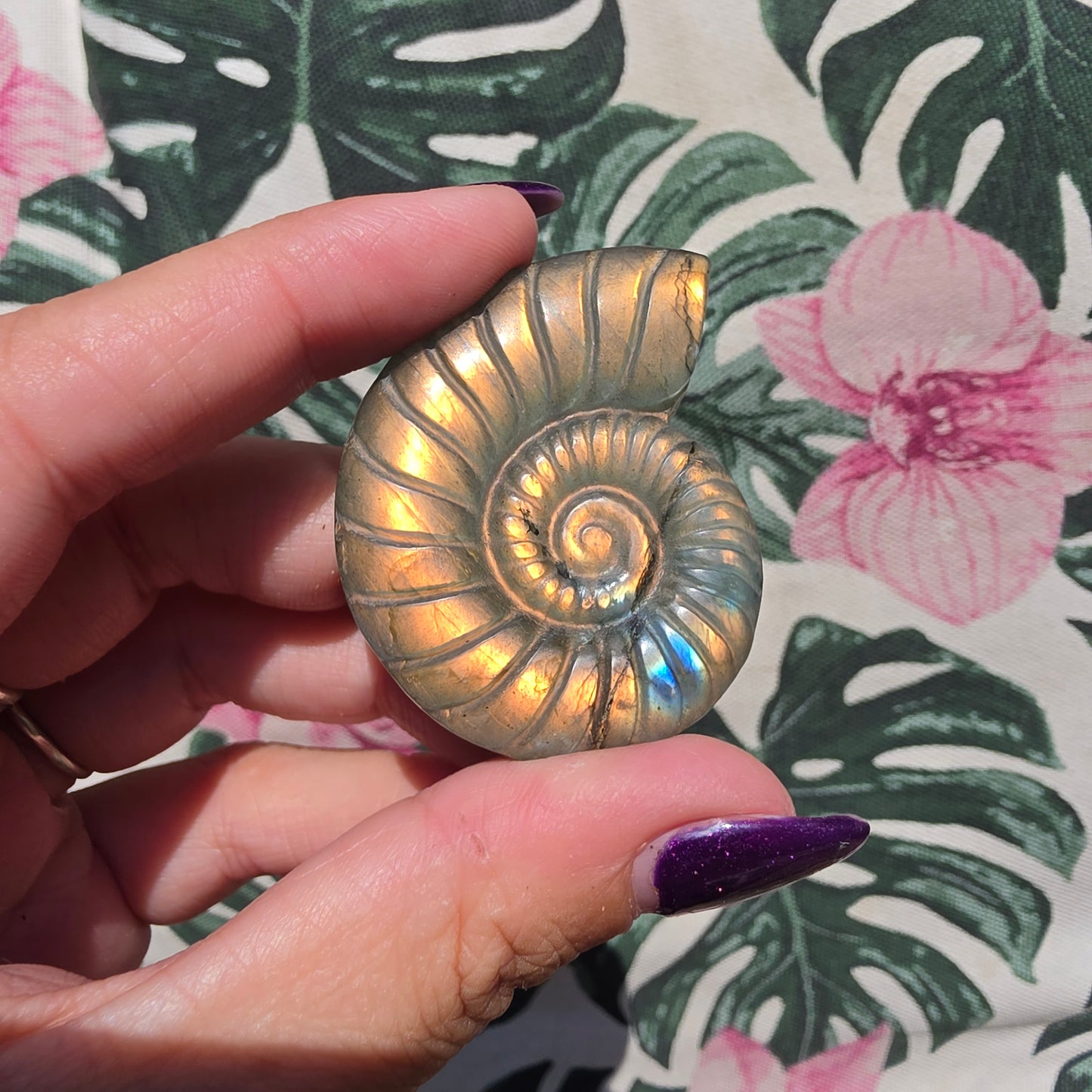 labradorite shell amulet