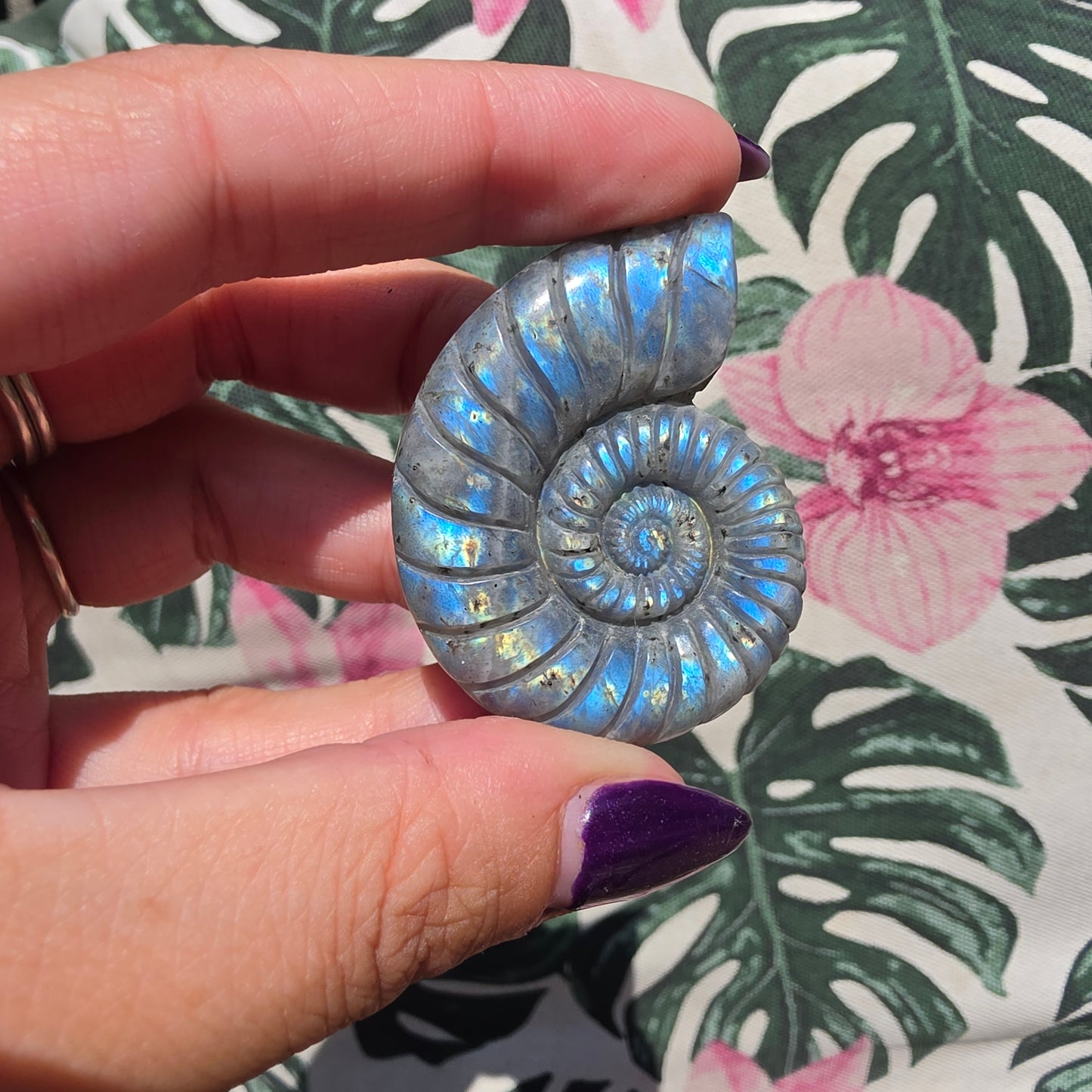 labradorite shell amulet