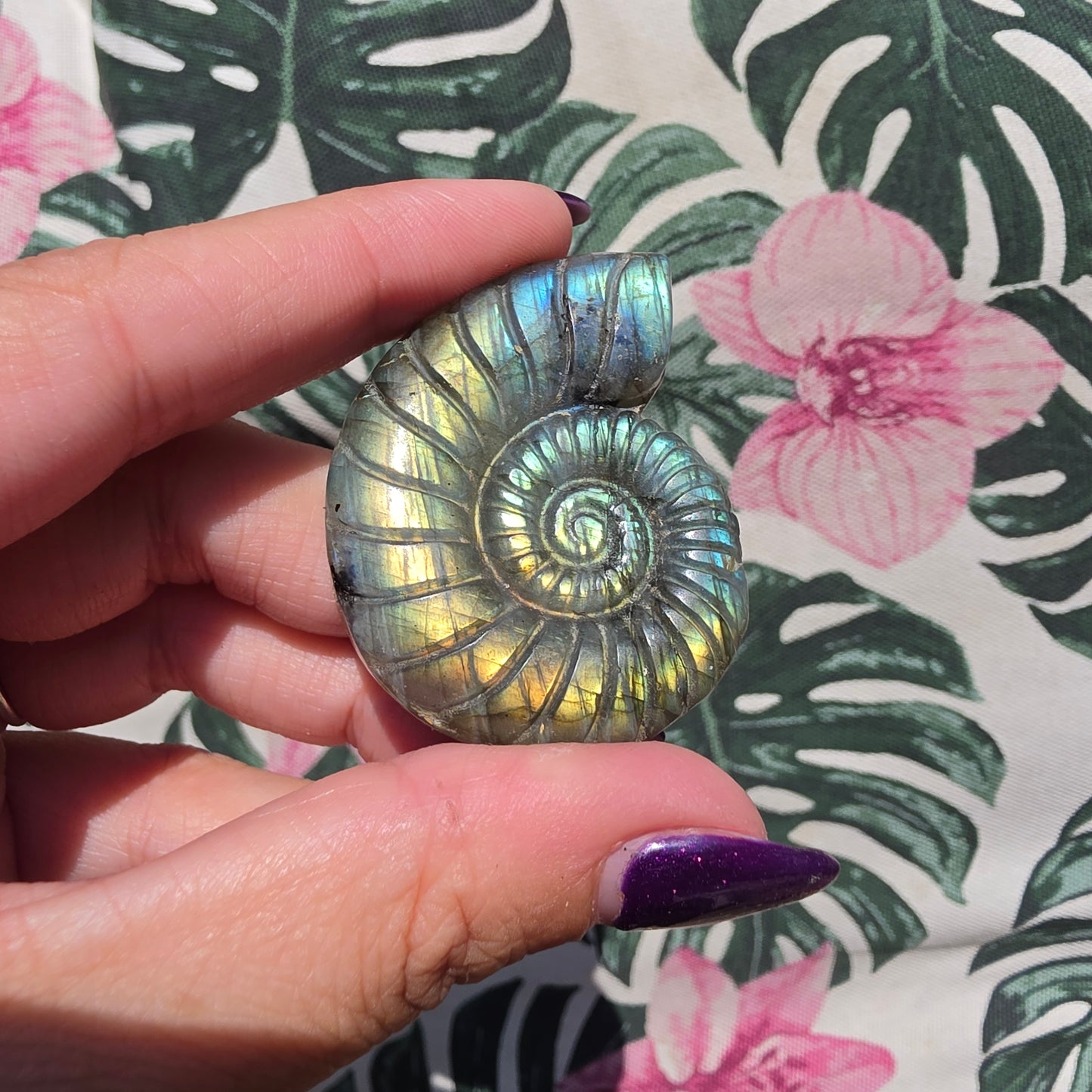 labradorite shell amulet