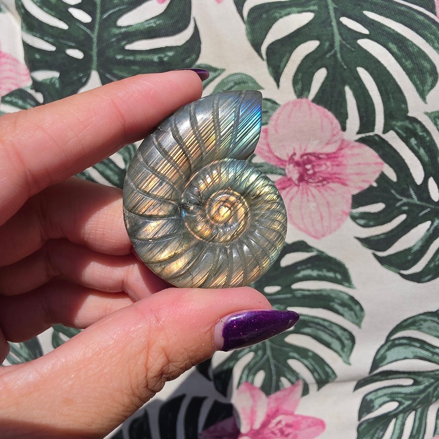 labradorite shell amulet