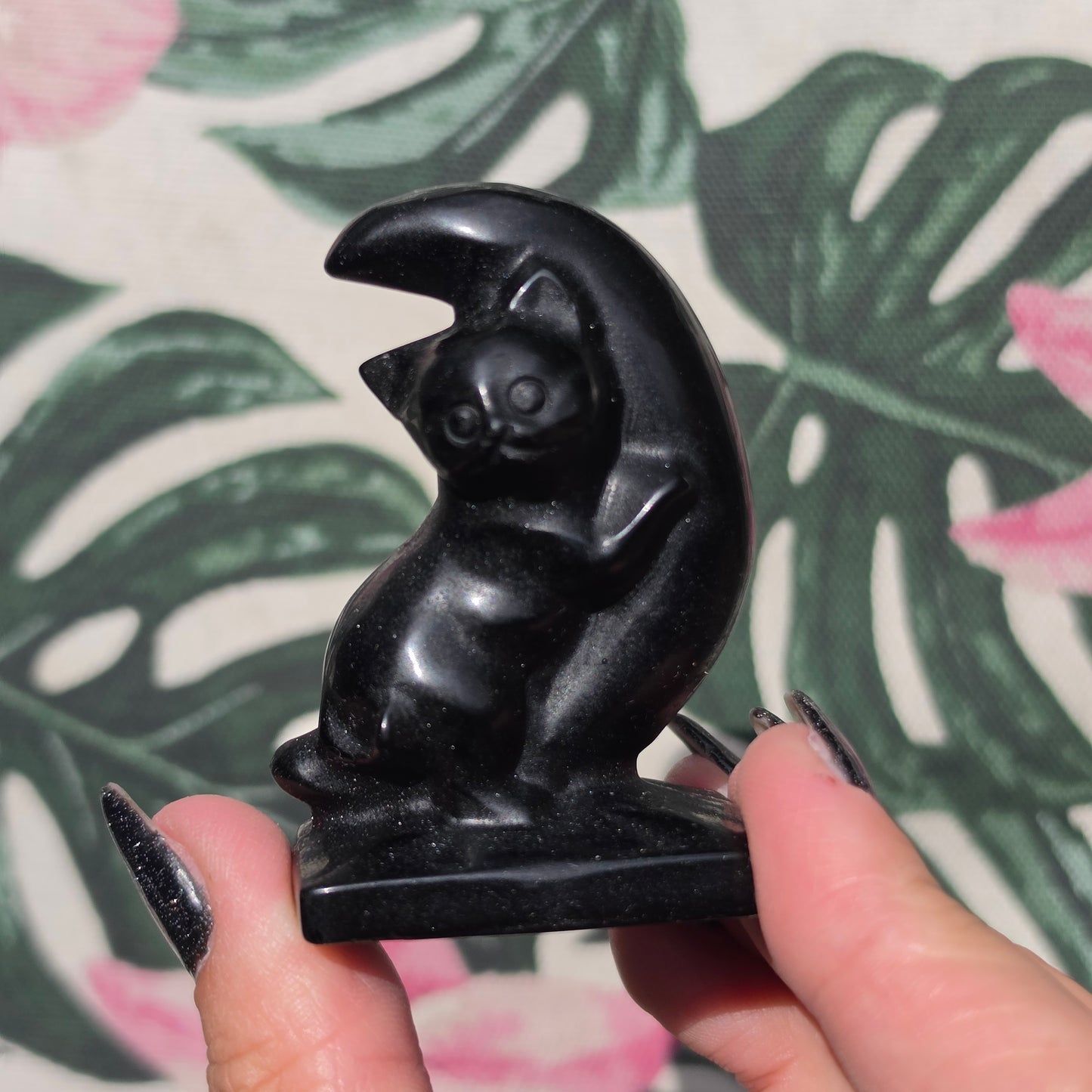 black obsidian cat on moon