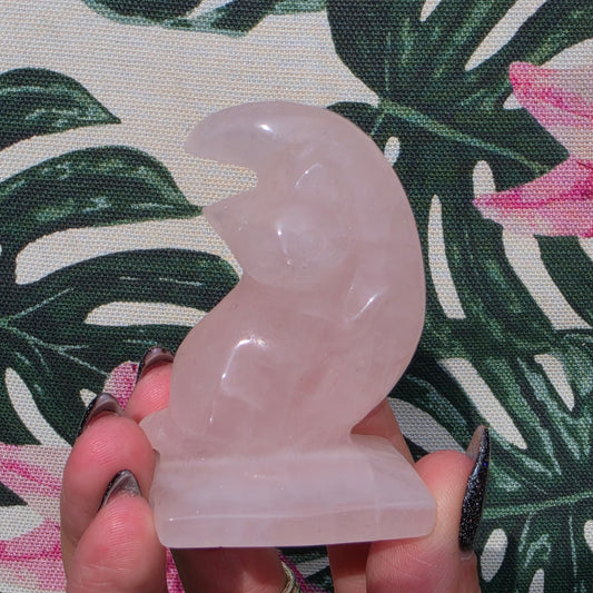 rosequarts cat on moon 4