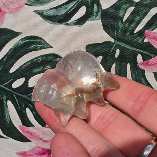 fluorite spider 2