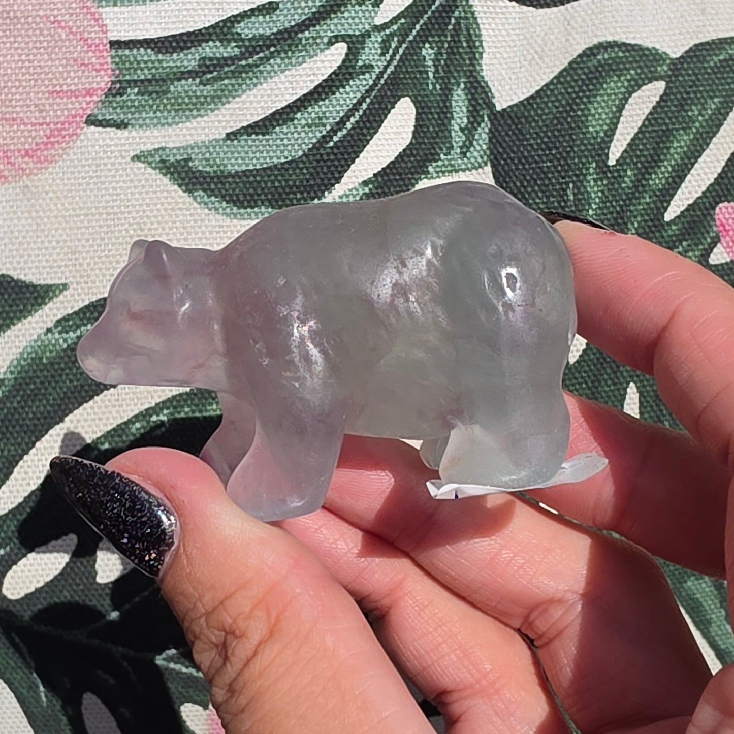 fluorite bear 1
