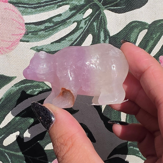 fluorite bear 4