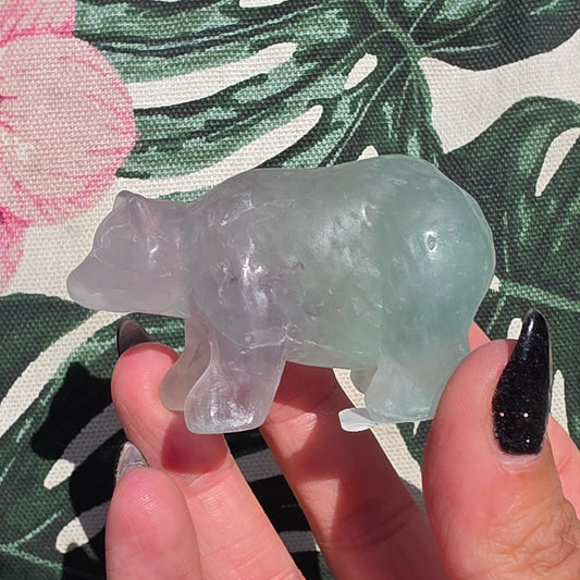 fluorite bear 5