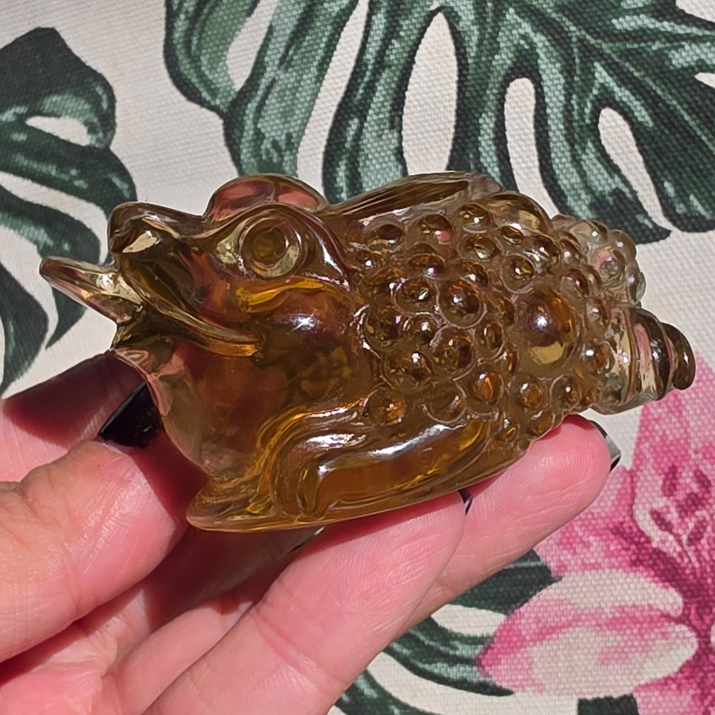 Natural citrine moneyfrog