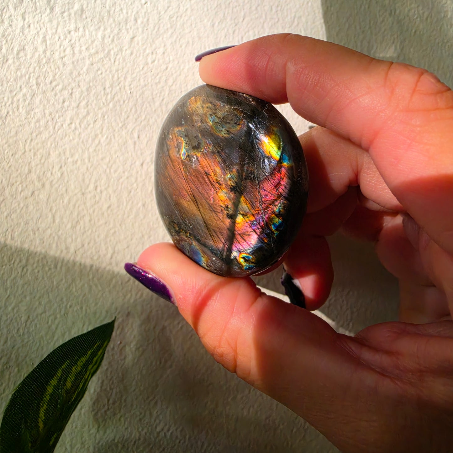 Labradorite cookie 8