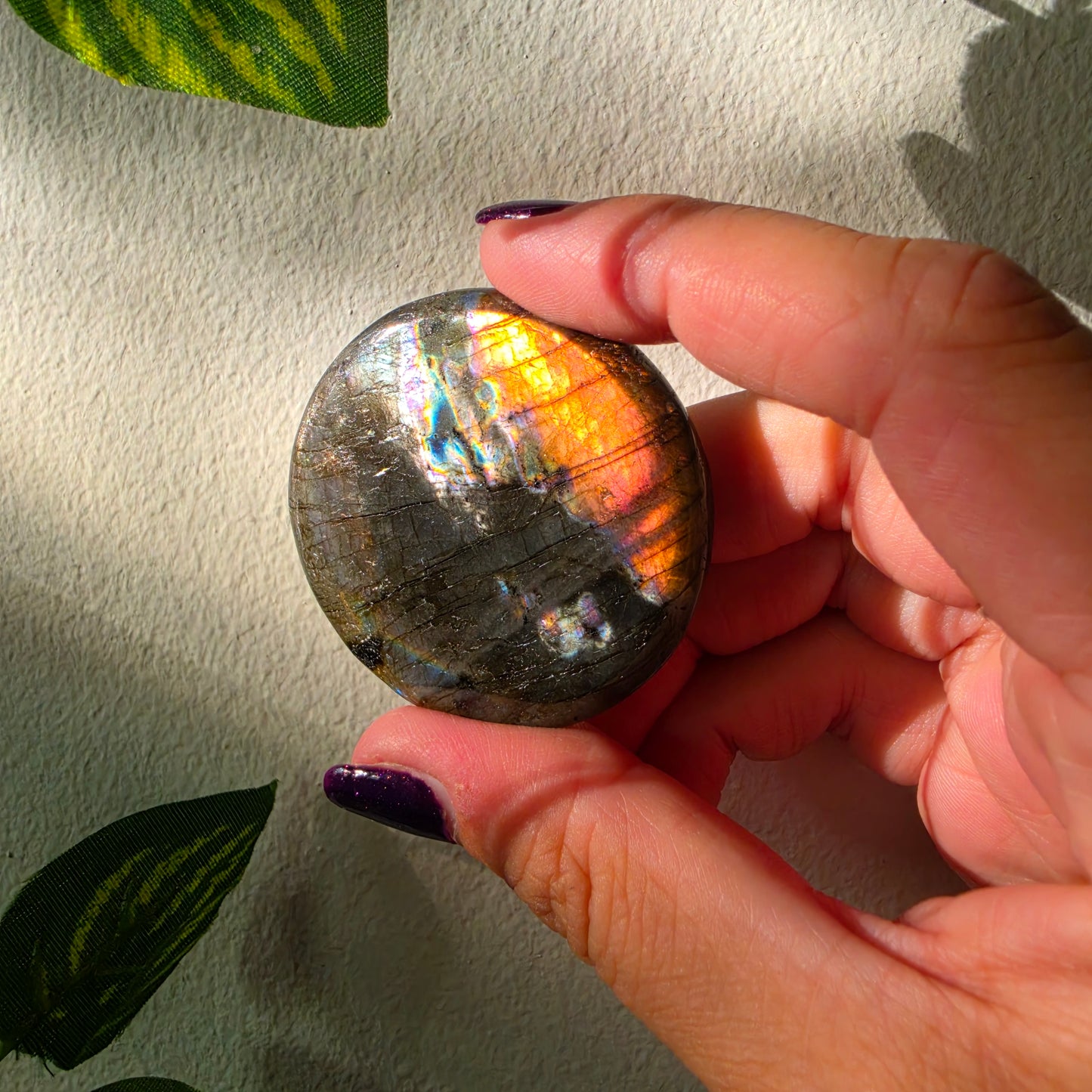 Labradorite cookie 12