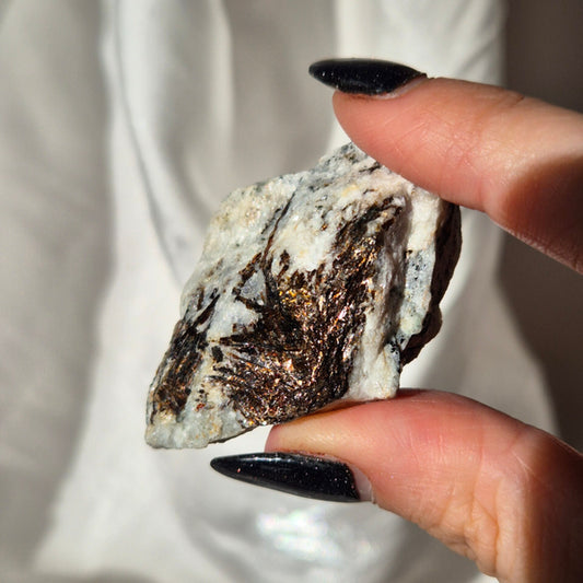 astrophyllite 2