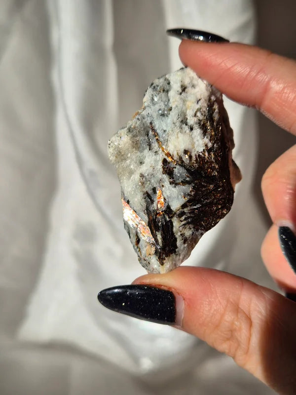 astrophyllite 2
