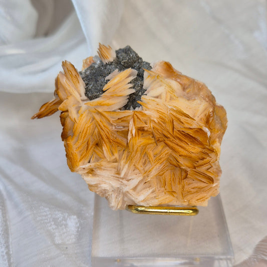 Baryte with galena 15