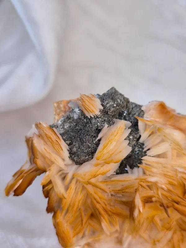 Baryte with galena 15