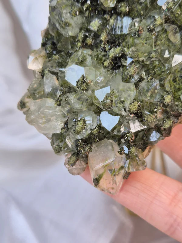 Forrest Epidote 18