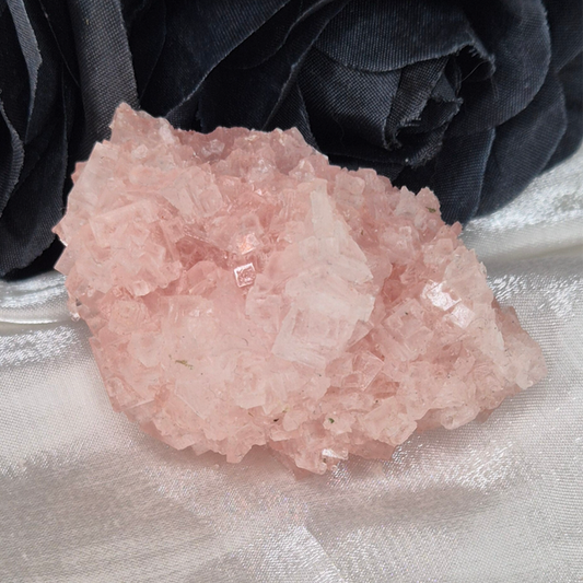 Pink Hallite 6