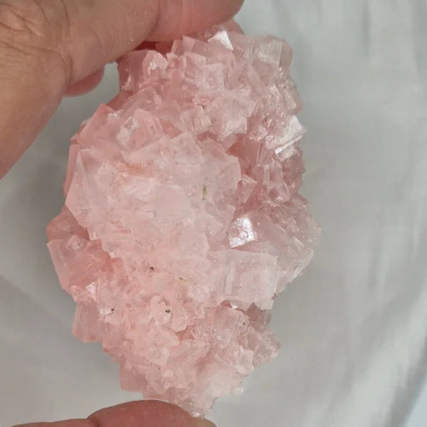 Pink Hallite 6
