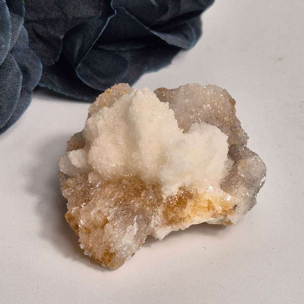 Ramshorn selenite 4