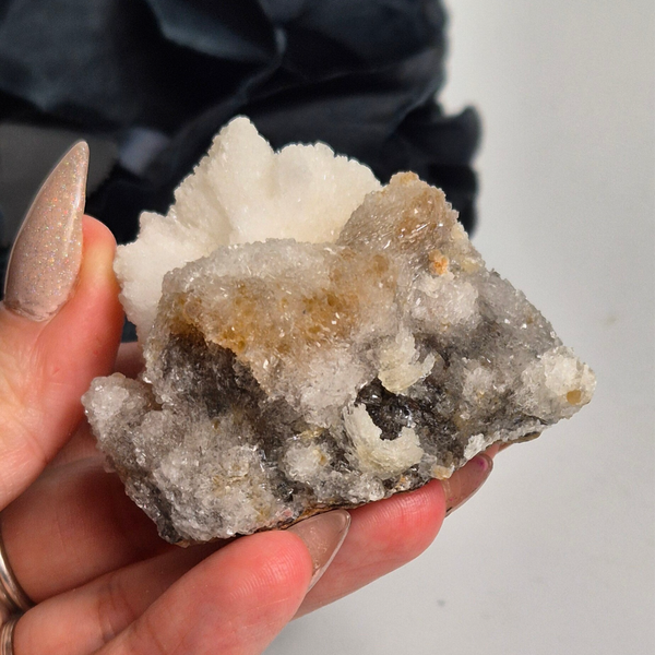 Ramshorn selenite 4