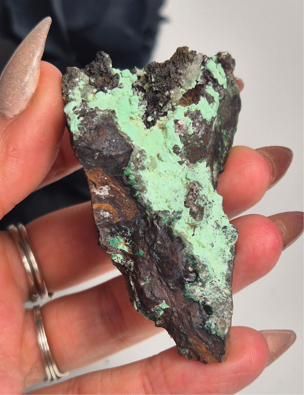 Rosasite 11