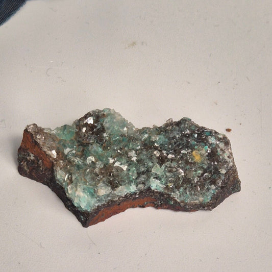 Rosasite 8