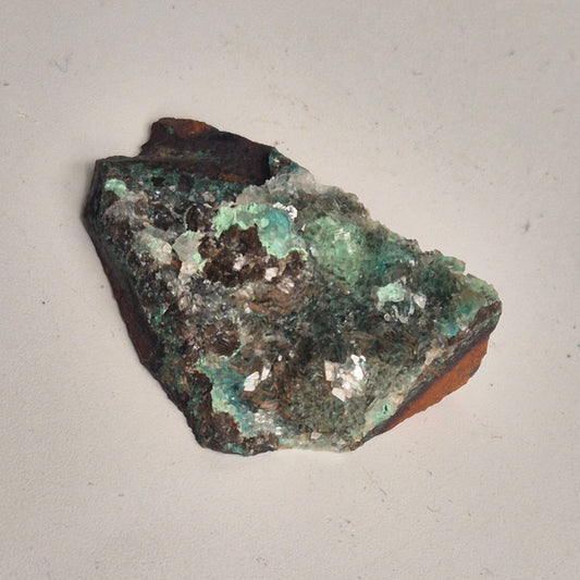 Rosasite 19